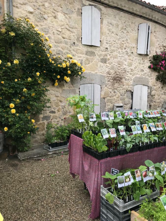 Gite du Paradis Vieuzos Extérieur photo